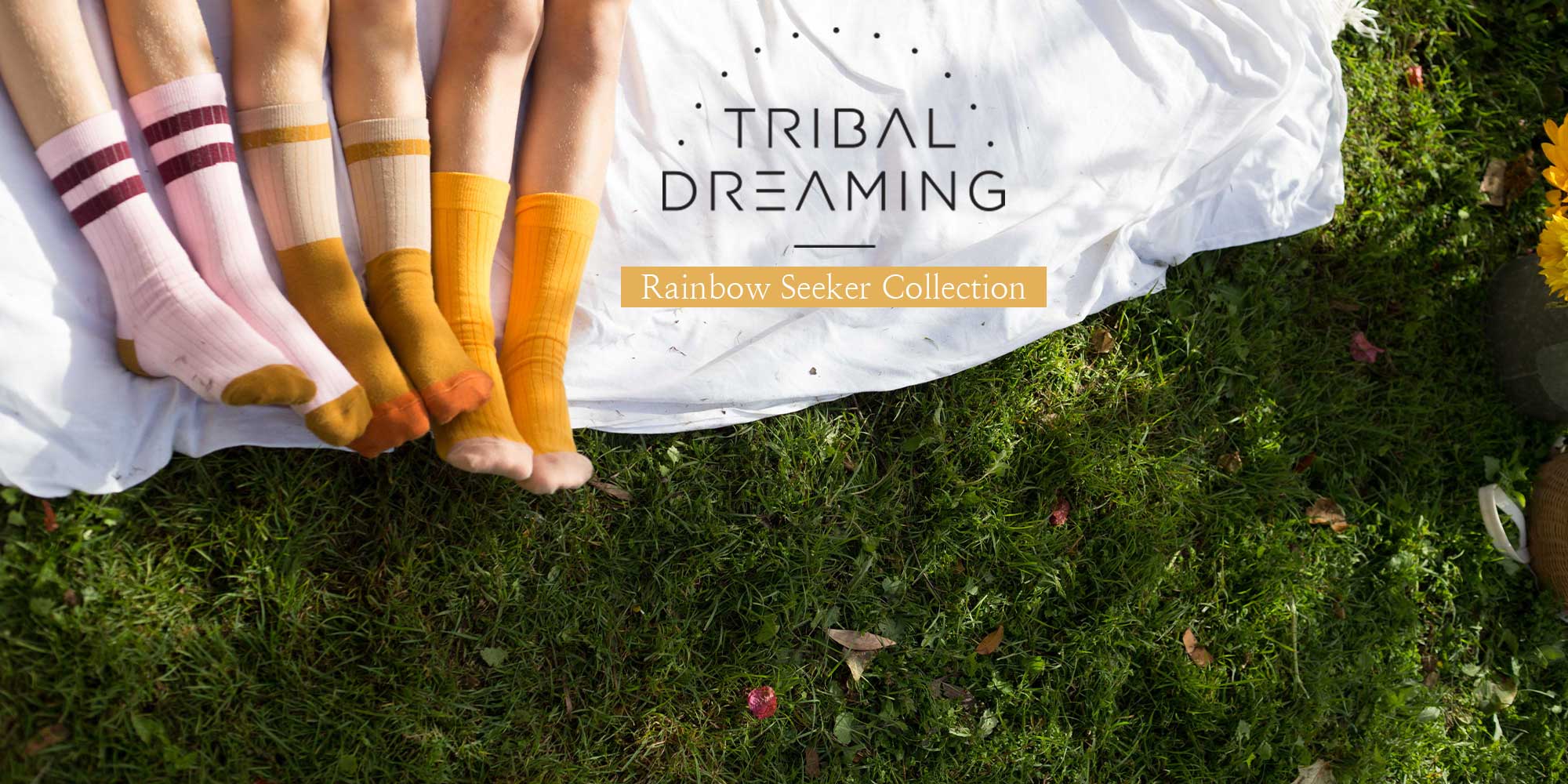 Tribal Dreaming Rainbow Seeker Collection