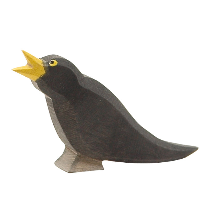 OSTHEIMER | Bird | Blackbird