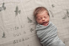 COVETED THINGS | Organic Swaddle | Birds
