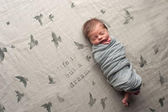 COVETED THINGS | Organic Swaddle | Birds