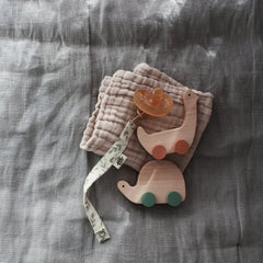 PINCH TOYS Turtle And Duck