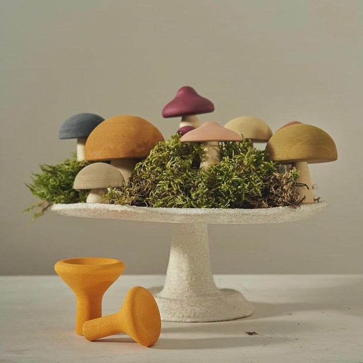 RADUGA GRËZ  | Wooden Mushrooms