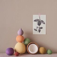 RADUGA GRËZ  | Wooden Fruits Set | Vol 2